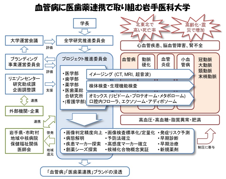 事業名：医歯薬連携による全身疾患としての血管病の地域還元型学際的研究拠点