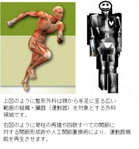 整形外科学