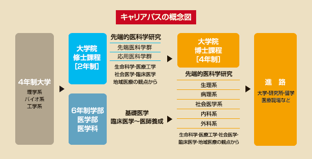 キャリアパスの概念図 キャリアパスの概念図