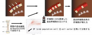 先端治療